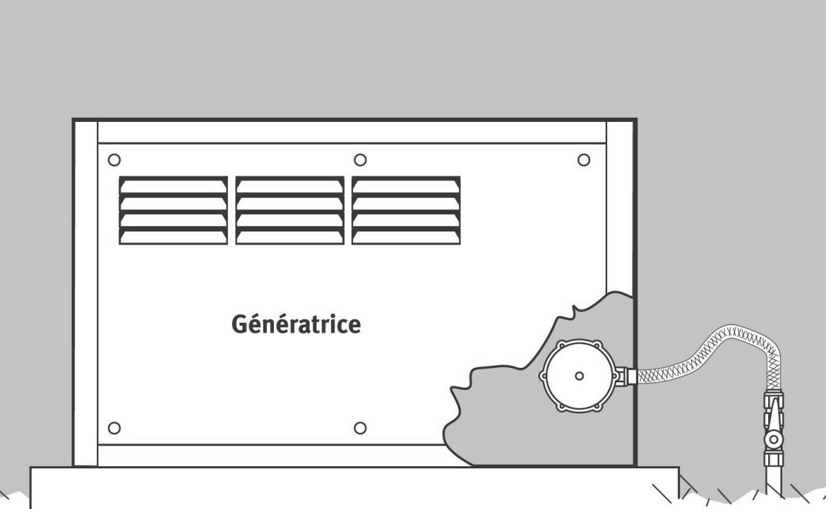 Génératrice au gaz naturel propane